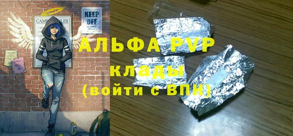 гидра Бородино