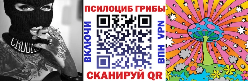 Галлюциногенные грибы Psilocybe Медногорск