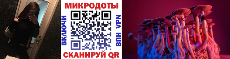 купить наркотик  Медногорск  Псилоцибиновые грибы мухоморы 